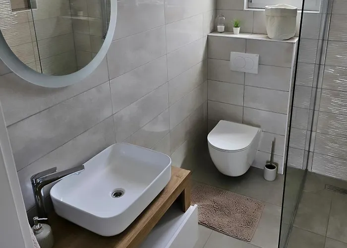 Апартаменты Aniva *